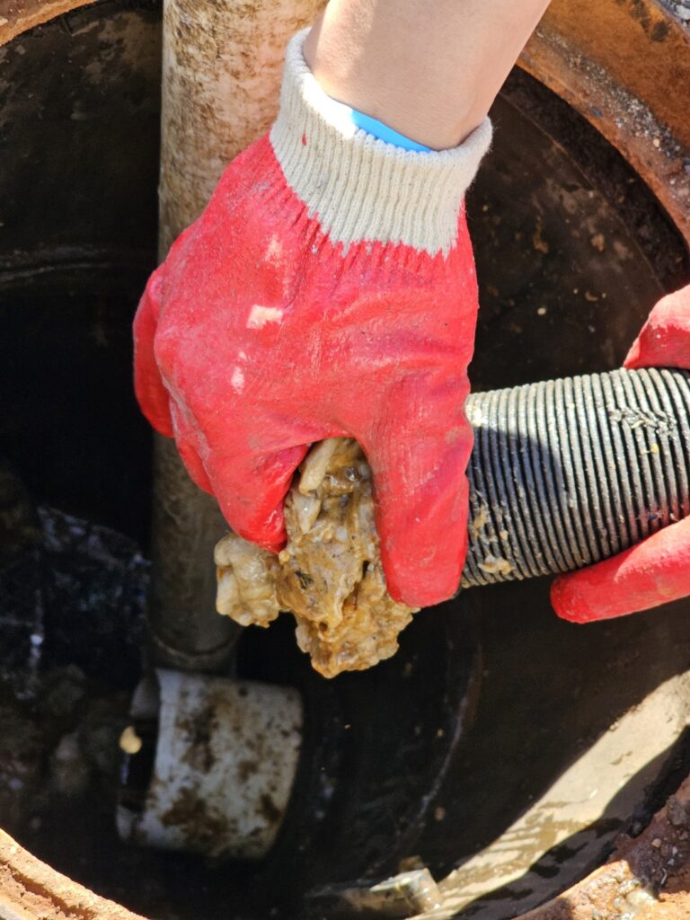 용인하수구 막힘 뚫음 용인싱크대막힘뚫음 용인변기막힘뚫음 용인하수구 막힘 뚫음 용인싱크대막힘뚫음 용인변기막힘뚫음